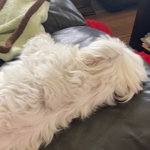 Meet your Posher, Jeannette